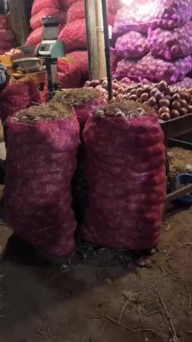 The video shows a large number of onions in bags and on a table at what appears to be a market.  The onions are mostly contained in red mesh bags, many stacked high. Some loose onions are on a wooden table. A scale is also visible. The environment appears to be a warehouse or market stall with a dirt-covered floor.  The lighting is provided by a single overhead bulb. No people are clearly visible in the shot.