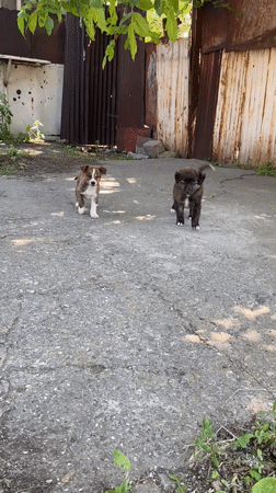 Everyday street life in Gyumri, Armenia