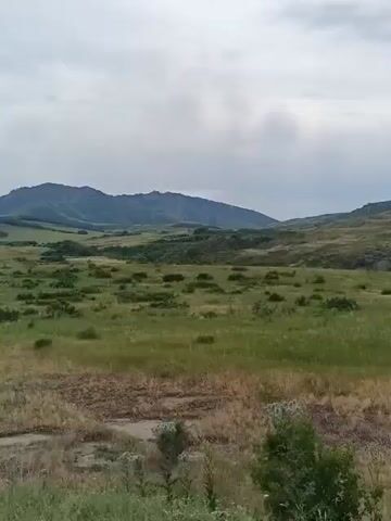 The video shows a landscape with hills and clouds. The foreground is a field of dry grass. In the middle ground, there are patches of green and brown vegetation. In the background, there are rolling hills under a cloudy sky. The camera is stationary.