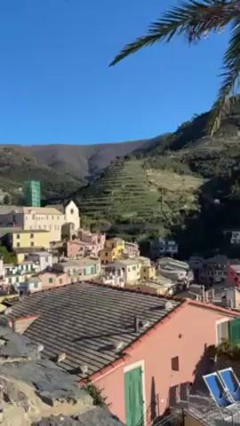 The video showcases a picturesque view of Vernazza, a village in Cinque Terre, Italy, on a bright, sunny day. The camera slowly pans from the colorful rooftops of the town towards the coastline, revealing the bright blue sea. A palm tree stands prominently in the foreground, partially obscuring the view but also adding a tropical touch to the scene. Terraced hills rise in the background. A flag, likely representing the European Union with a green stripe added, flaps gently in the breeze next to the sea. The video captures the serene and scenic beauty of this coastal Italian village.