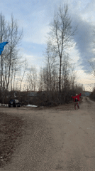 Person flies blue kite with dog on dirt road