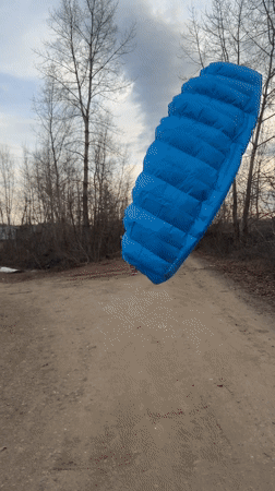 Person flies blue kite with dog on dirt road