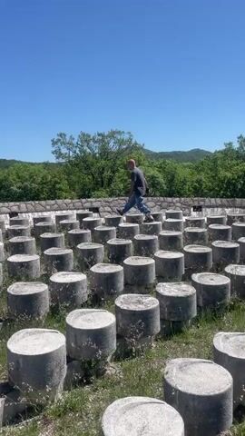 The video shows a man walking across a field of closely-spaced, cylindrical concrete blocks on a sunny day. The blocks are arranged in rows and columns, with grass growing between them. Behind the field is a low wall, and behind that, a line of trees and a distant hill. The man is wearing a dark shirt and jeans. After he reaches the wall, he takes off his shirt. The sky is clear and blue.