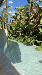 Tourist documents tropical pool setting in Marrakesh