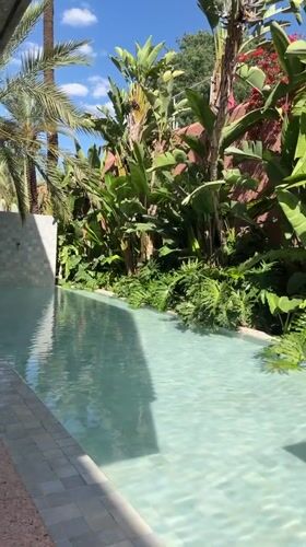 Tourist documents tropical pool setting in Marrakesh