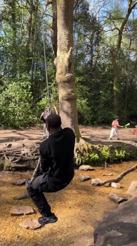 Man enjoys rope swing in Poole woodland area
