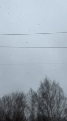 Late spring snowfall documented in Votkinsk, Russia