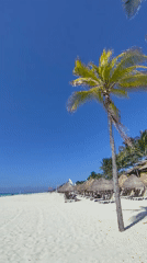 Sunny afternoon beach scenes captured at Playa del Carmen
