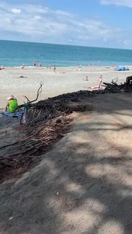 The video shows a beach scene. In the foreground, there is a large tree trunk with exposed roots and a sandy area with shadows cast from the trees. Further back, a pebble and sand beach is visible, with several people sunbathing and a few wading in the turquoise ocean. The water appears calm under a partly cloudy blue sky. A person in a green shirt and a straw hat is sitting on a blue blanket on the left side of the frame. In the mid-ground, there are some blue and light-colored beach tents or umbrellas. The camera pans slightly upward, focusing on the tree and then on the sky and distant ocean.
