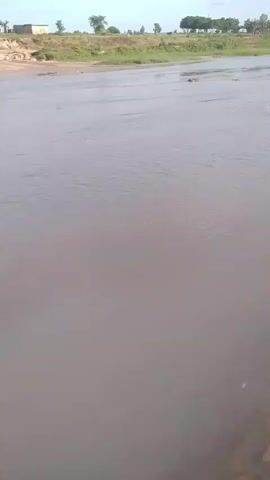 A video shows a wide, muddy river under a pale sky. The riverbank on the far side is visible, with sparse vegetation and a few scattered trees. A building or structure is partially visible on the left bank. The water appears to be flowing, with ripples and some debris visible on the surface. The overall impression is of a natural, somewhat arid landscape.