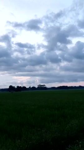 The video shows a landscape of a green field under a cloudy sky. The field appears to be a rice paddy or similar crop. The sky is filled with various shades of grey clouds, and there's a faint glow of sunlight trying to break through them near the horizon. In the background, there's a dark silhouette of trees, and potentially a distant building or two. A vehicle appears to be driving in the background. The video appears to be taken in the early morning or late evening, given the diffused lighting and overcast sky.