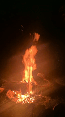 Evening bonfire gathering draws crowd on June 5