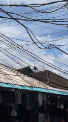 Morning street life documented across Ubud District, Indonesia