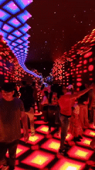 Art gallery visit in Valencia features Michelena paintings, digital installations
