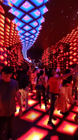 Art gallery visit in Valencia features Michelena paintings, digital installations