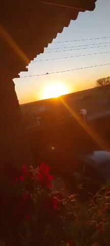 The video opens with a close-up shot of a tree trunk, then pans to the right to reveal a sunset in the background. The sun is a bright orange orb low on the horizon, casting a warm glow over the landscape. In the foreground, red flowers are visible, adding a splash of color to the scene. A car is parked in the middle ground, and a pole with lights can be seen in the distance. The sky is a clear blue with a few wispy clouds. The camera then moves slightly, showing more of the sunset and the surrounding environment, before the video cuts to a blurry shot of a plant in a pot, then another blurry shot of the ground, before returning to the sunset scene.