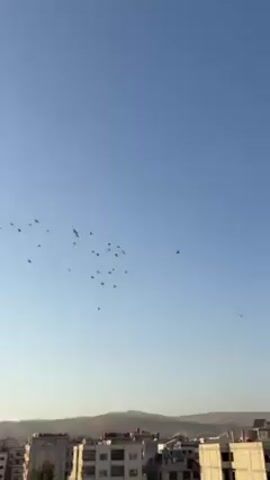 The video shows a flock of birds flying in formation against a clear blue sky.  Below, there's a view of a cityscape with buildings and in the distance, rolling hills or mountains. The buildings in the city appear to be mostly low-rise. The lighting suggests it could be morning or late afternoon.