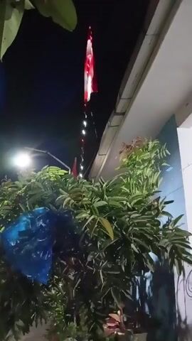 The video shows a flag flying from a pole at night. The flag is red and white. There are lights on the pole and a tree in front of it.