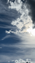 Urban scenes: road construction, pigeons, clouds documented by witnesses