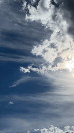 Urban scenes: road construction, pigeons, clouds documented by witnesses