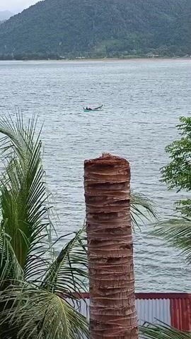 The video shows a tranquil scene of a body of water with a distant mountain range. In the foreground, the trunk of a palm tree is prominently displayed, with palm fronds extending from the left and right sides of the frame. A small boat with at least one person can be seen in the middle of the water, moving slowly. The water appears calm with gentle ripples, and the sky is overcast, suggesting a cloudy day. The overall atmosphere is peaceful and serene.