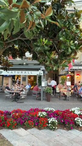 The video shows a lively outdoor seating area of a restaurant, possibly in Europe, with people dining at tables. The restaurant has a sign that reads "RISTORANTE DON PEDRO PIZZERIA." There is a large tree with green leaves in the foreground, casting shadows over some of the tables. In front of the restaurant, there is a colorful flower bed filled with red, pink, and white flowers. People are seen sitting, eating, and talking at tables set up on a paved area. Some individuals are walking through the seating area. The architecture of the buildings behind the restaurant appears to be traditional European style, with balconies and awnings. The overall atmosphere is one of a bustling, pleasant dining experience on a warm day or evening.