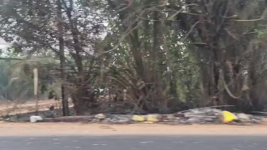 The video captures a roadside scene with a dirt track leading into a wooded area. Several vehicles are visible, including a white pickup truck and what appears to be a red vehicle. There is a significant amount of vegetation, including trees and palm-like plants. Smoke or dust is present in the air, suggesting activity such as a fire or vehicle movement on the unpaved road. Signs are also present along the roadside. The overall impression is one of a somewhat unkempt or rural environment.