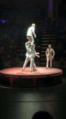 Moscow circus performance features aerial acts, acrobats, theatrical shows