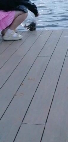 A person in a pink skirt and white shoes is crouching on a wooden deck by a body of water. They are holding a clear plastic bag and appear to be releasing something into the water. Several rubber bands are scattered on the wooden deck.