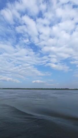 A wide shot of a large body of water, likely a river, under a bright blue sky dotted with white, fluffy clouds. The water is dark and appears calm with gentle ripples. In the distance, a faint line of trees marks the far bank of the river. The camera is likely positioned on a boat, as indicated by the subtle wake visible in the foreground. The scene is serene and natural, with no visible people or man-made structures other than a possible distant tower on the right. The overall impression is one of a peaceful journey on the water.