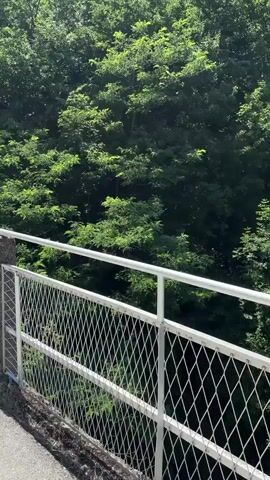 This is a first-person perspective video, likely recorded by someone walking or cycling, moving along a paved path that runs alongside a metal fence. The path appears to be a walkway or a bike path, separated from the natural environment by the fence.

The scene is predominantly natural, with lush green trees and vegetation covering the slopes of a rocky mountainside. The foliage is dense and vibrant, suggesting a warm and sunny season. In the distance, a dark opening in the rock face indicates a tunnel, with a fence and some signs visible near its entrance.

The weather appears to be clear and sunny, with a bright blue sky visible between the trees and above the rocky terrain. The time of day is likely daytime, given the bright sunlight illuminating the scene. The overall atmosphere conveyed is one of a scenic outdoor journey, possibly through a mountainous or canyon-like area. The presence of the tunnel hints at human infrastructure integrated within the natural landscape, perhaps for transportation or access. The location cues, such as the rock formations and vegetation, coupled with the provided location context of Užice, Serbia, suggest a natural area in that region. No people are visible in the frame.

There are some visible signs near the tunnel entrance, but they are not clear enough to be read. One sign appears to have a yellow hexagon with a red border and a symbol inside.