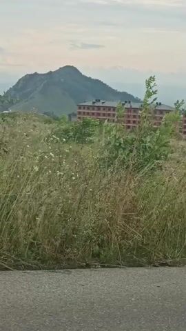 The video shows a view from a moving vehicle looking towards a row of identical, multi-story apartment buildings with pinkish-beige facades. The buildings are situated on a hillside, with tall, dry grass and some green foliage in the foreground obscuring the lower portions of the structures. In the far background, a mountain range with snow-capped peaks is visible under a cloudy sky. The road in front of the vehicle is asphalt with visible cracks. The camera is tilted slightly, suggesting the vehicle is moving and possibly turning. The overall impression is of a somewhat undeveloped or rural urban fringe.