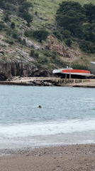 Swimmer and poodle enjoy cloudy beach day in Montenegro