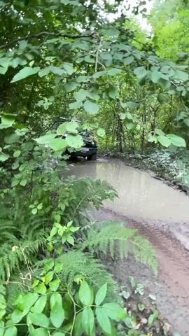 An off-road vehicle drives through a muddy forest path. The vehicle is black and appears to be a SUV or truck. The path is wet and muddy, with puddles of water. The surrounding environment is a dense forest with trees and green foliage. The video is shot from a low angle, at eye level with the ferns and undergrowth.