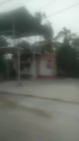 The video shows a blurry, fast-moving scene from a vehicle, likely a car, traveling on a road. The environment appears to be rural or semi-rural, with lush green vegetation and trees lining the sides of the road. In some frames, there are glimpses of what might be buildings or structures, possibly houses or utility poles, suggesting some level of human habitation or infrastructure. The sky is overcast or hazy, contributing to the overall muted lighting and lack of sharp detail. The motion blur indicates a significant speed of travel, making it difficult to discern specific details about any people or objects present. The road itself appears to be paved or at least well-maintained, with a possible lane marker visible in some shots. The overall impression is one of a journey through a verdant landscape.