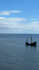 Traditional sailing ship spotted off Funchal coast