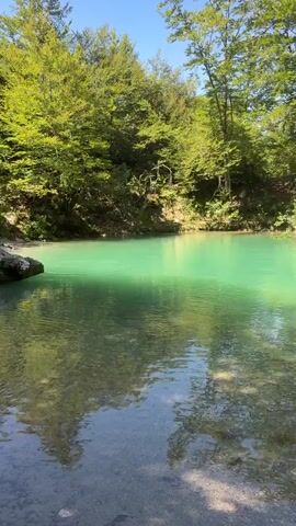 The video captures a serene natural scene. The foreground features crystal-clear water with visible pebbles and sand at the bottom. Sunlight filters through the water, creating dappled patterns. The water itself is a vibrant turquoise-green color, reflecting the surrounding foliage. In the midground, the water expands into a larger pool or small lake, its surface rippling gently. The background is dominated by a lush, dense forest of deciduous trees with abundant green leaves. The trees create a natural canopy, with sunlight breaking through in places. The sky above is a clear blue, indicating a sunny day. There are no people or animals visible in the video. The overall atmosphere is peaceful and tranquil.