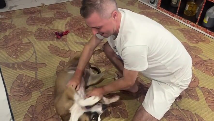Dog enjoys a belly rub on the living room rug