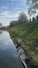 Ducks spotted swimming in Kharkiv city canal
