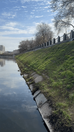 Ducks spotted swimming in Kharkiv city canal