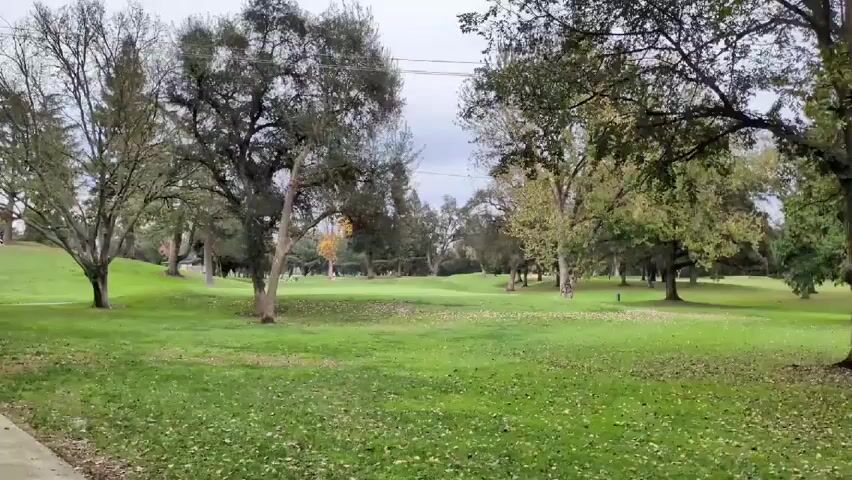 The video shows a landscape with a golf course. The ground is covered in green grass, interspersed with fallen leaves. There are several trees scattered across the course, some with mostly bare branches and others with green foliage. A concrete sidewalk runs along the edge of the frame on the left side. In the distance, a golf cart is visible on a small hill. The sky is overcast, contributing to a muted color palette.