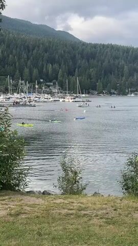 A wide shot of a body of water with a marina and a forested mountain range in the background. Several sailboats are docked in the marina. People are visible in the water engaging in various activities, including kayaking and swimming. Two yellow kayaks are in the foreground, with several people in the water further out. A blue inflatable is also visible in the water. The sky is overcast with dramatic clouds. The foreground consists of a grassy area with some rocks and vegetation.