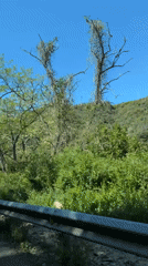 Vehicle passenger observes green Barcelona hillsides under blue skies