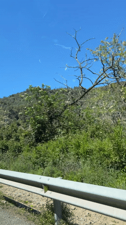 Vehicle passenger observes green Barcelona hillsides under blue skies
