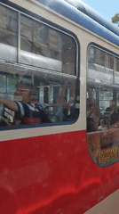 Prague tram and dog walker spotted on sunny afternoon