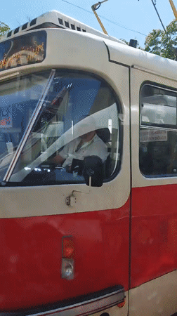 Prague tram and dog walker spotted on sunny afternoon