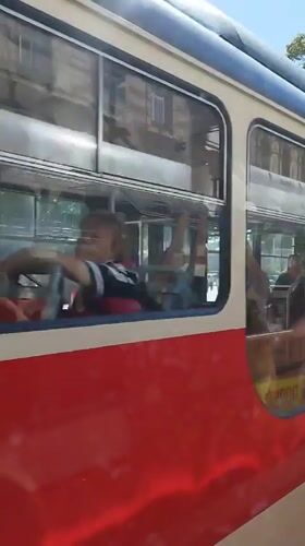 Prague tram and dog walker spotted on sunny afternoon