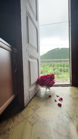 The video shows a vase of dark pink roses placed on the floor just inside an open doorway. Several rose petals are scattered on the patterned floor around the vase. Through the open doorway, a balcony railing is visible, beyond which is a green, tree-covered hillside under a cloudy sky. A portion of a wooden cabinet is on the left side of the frame. The door is white and appears aged. The camera appears to be positioned low to the ground, looking towards the doorway and the outdoor scenery.