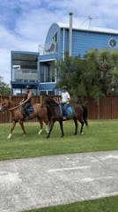 Early morning horseback riders spotted on Woonona grassland
