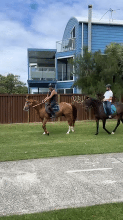 Early morning horseback riders spotted on Woonona grassland